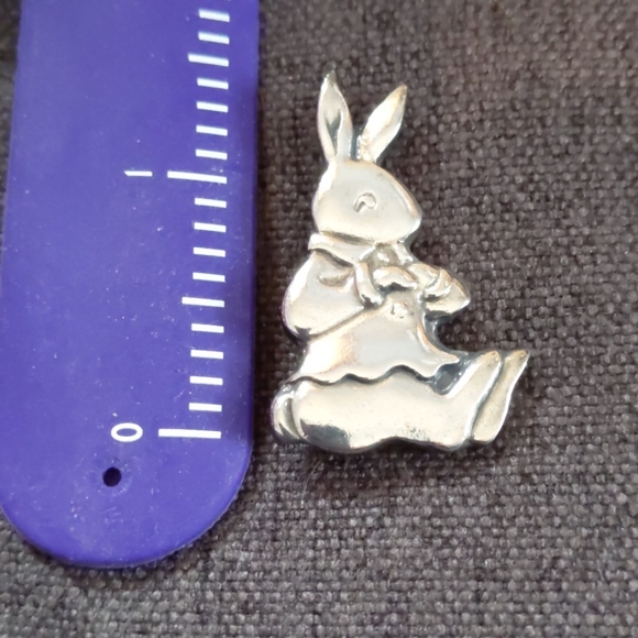 Peter Rabbit Pin - Picture 2 of 4